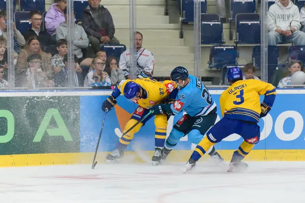 Bílí Tygři Liberec – Herning Blue Fox, 10. 9. 2026
