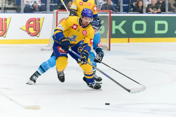 Bílí Tygři Liberec – Herning Blue Fox, 10. 9. 2026