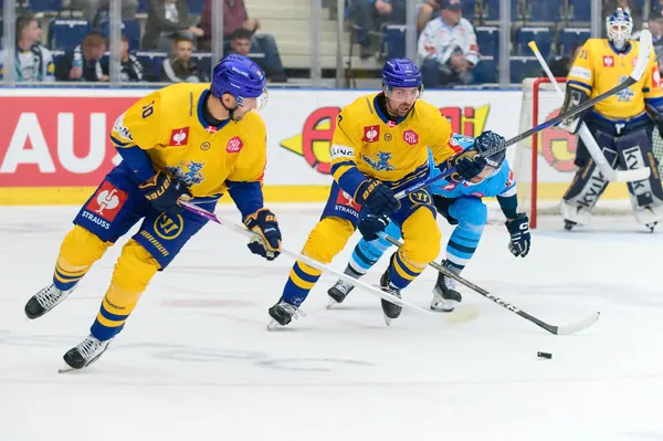 Bílí Tygři Liberec – Herning Blue Fox, 10. 9. 2026