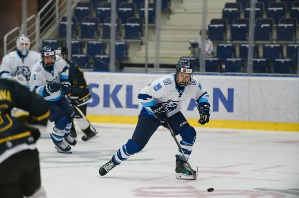 U20: HC Bílí Tygři Liberec – HC Verva Litvínov, 4. 9. 2026