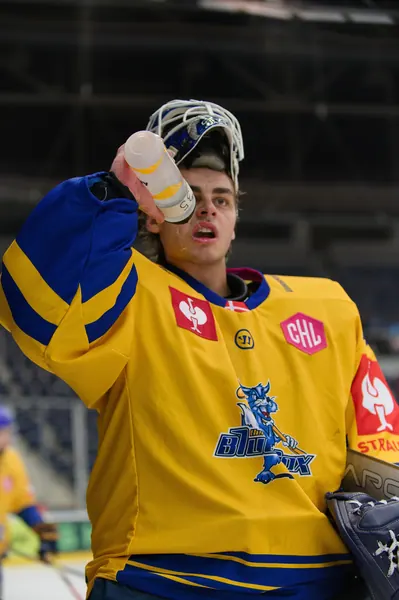 Bílí Tygři Liberec – Herning Blue Fox, 10. 9. 2026