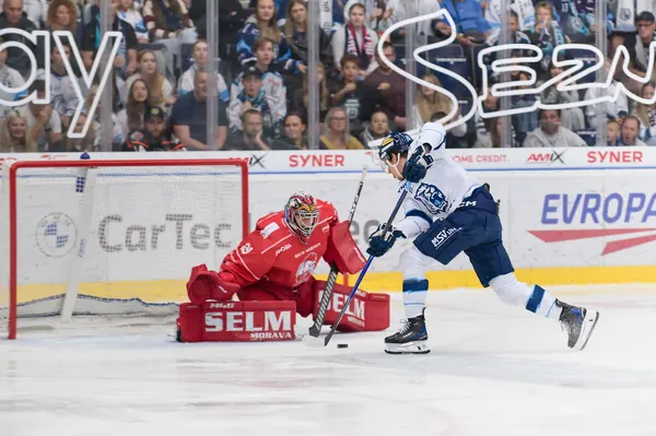 Bílí Tygři Liberec – HC Olomouc, 2. 10. 2026