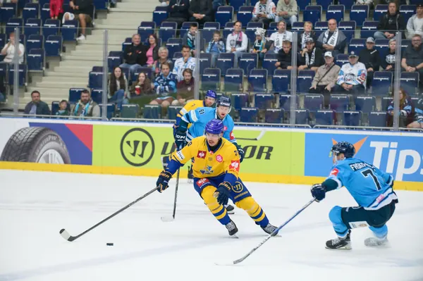 Bílí Tygři Liberec – Herning Blue Fox, 10. 9. 2026