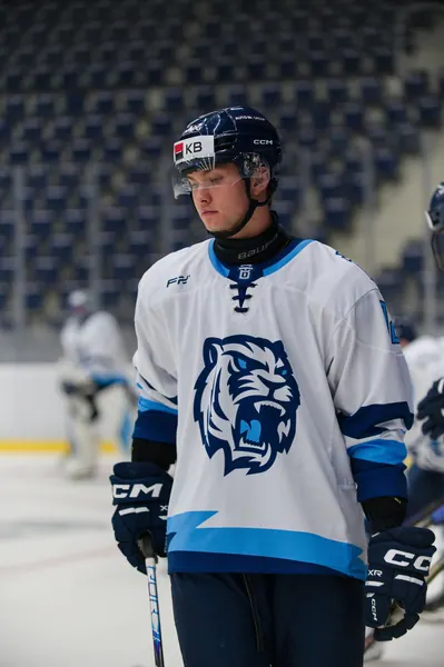 U20: HC Bílí Tygři Liberec – HC Verva Litvínov, 4. 9. 2026