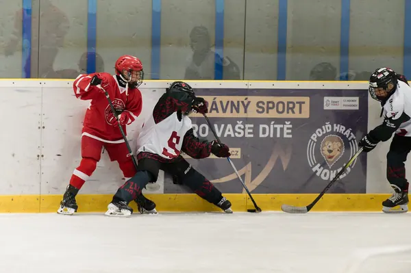 Sparta Praha – SLA, 21. 8. 2026