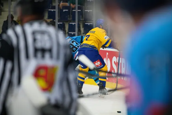 Bílí Tygři Liberec – Herning Blue Fox, 10. 9. 2026