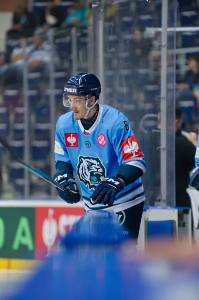 Bílí Tygři Liberec – Herning Blue Fox, 10. 9. 2026