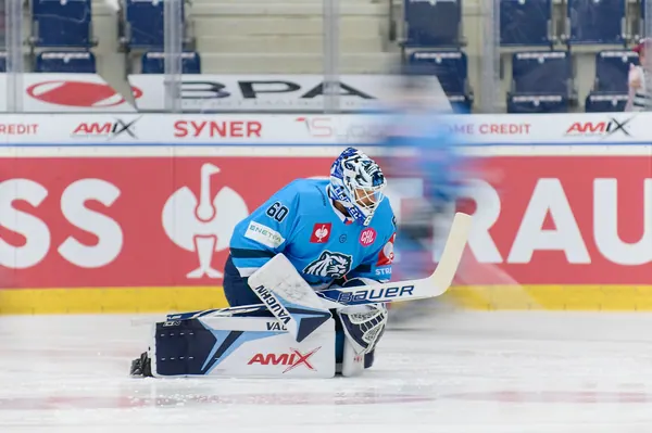 Bílí Tygři Liberec – Frölunda HC, 6. 10. 2026