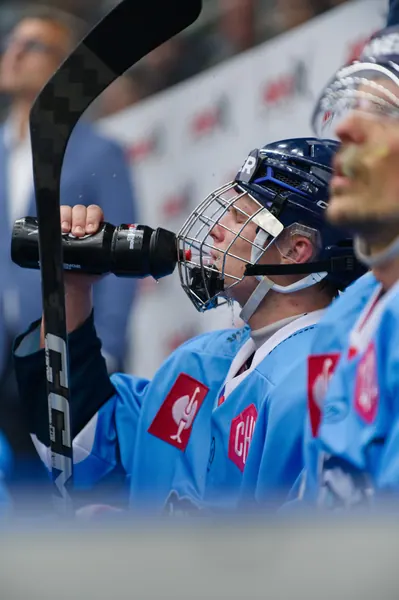 Bílí Tygři Liberec – Herning Blue Fox, 10. 9. 2026