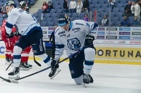 Bílí Tygři Liberec – HC Olomouc, 2. 10. 2026