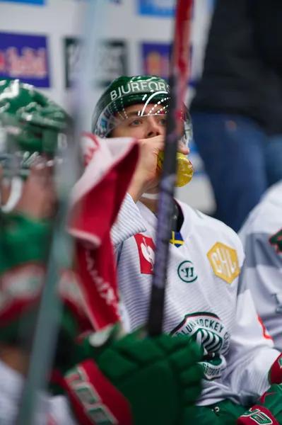 Bílí Tygři Liberec – Frölunda HC, 6. 10. 2026