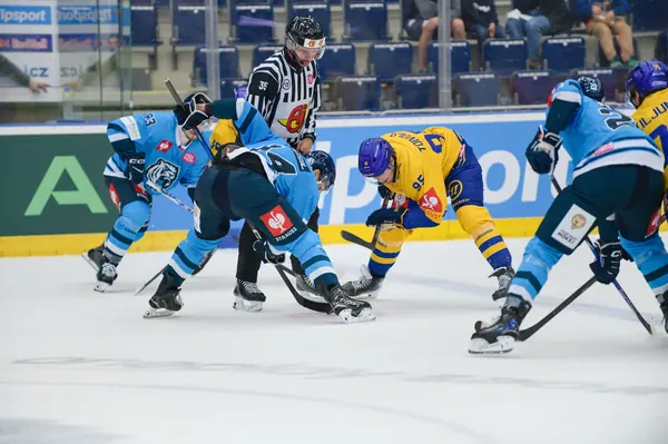 Bílí Tygři Liberec – Herning Blue Fox, 10. 9. 2026