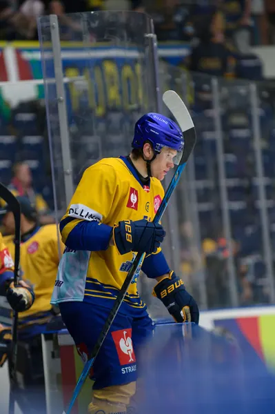 Bílí Tygři Liberec – Herning Blue Fox, 10. 9. 2026
