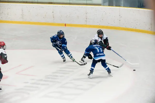 Sparta Praha – BTL, 22. 8. 2026