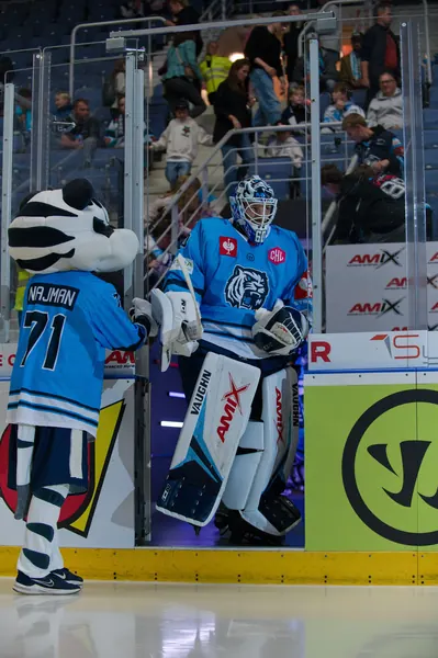 Bílí Tygři Liberec – Frölunda HC, 6. 10. 2026