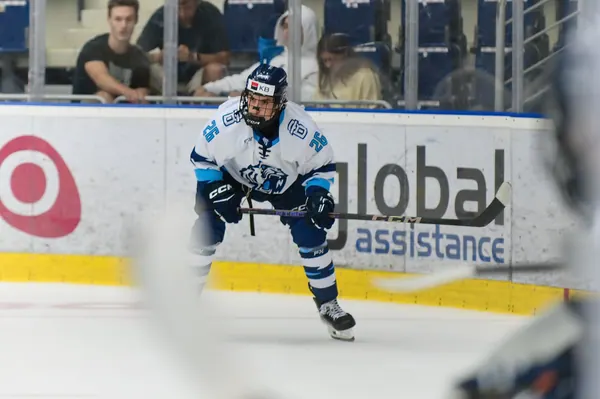 U20: HC Bílí Tygři Liberec – HC Verva Litvínov, 4. 9. 2026