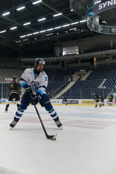 U20: HC Bílí Tygři Liberec – HC Verva Litvínov, 4. 9. 2026