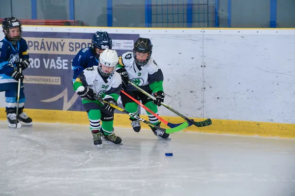 BTL U7 Pohár, 4. 10. 2026