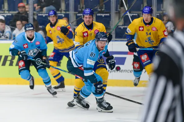 Bílí Tygři Liberec – Herning Blue Fox, 10. 9. 2026