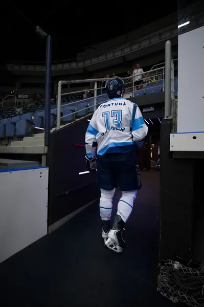 HC Bílí Tygři Liberec – HC Rytíři Kladno, 13. 8. 2026
