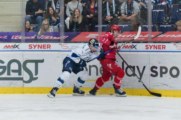 Bílí Tygři Liberec – HC Oceláři Třinec, 27. 9. 2026