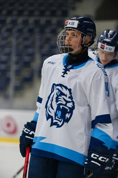 U20: HC Bílí Tygři Liberec – HC Verva Litvínov, 4. 9. 2026