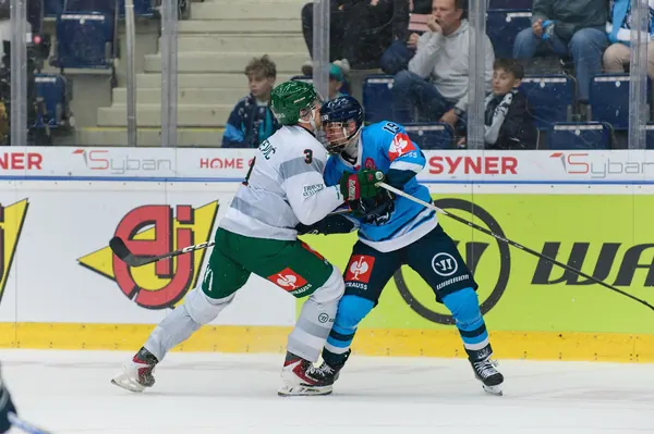 Bílí Tygři Liberec – Frölunda HC, 6. 10. 2026