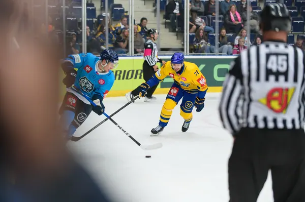 Bílí Tygři Liberec – Herning Blue Fox, 10. 9. 2026