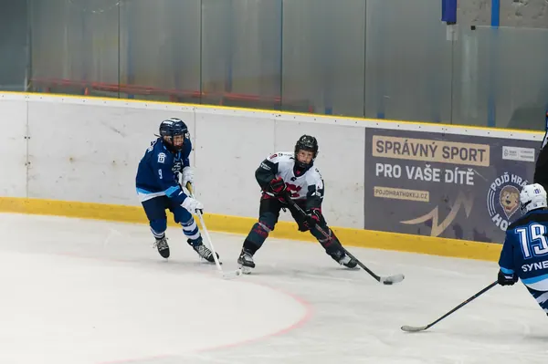 Sparta Praha – BTL, 22. 8. 2026