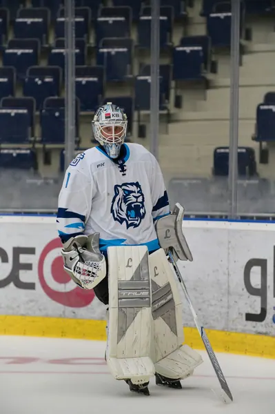 U20: HC Bílí Tygři Liberec – HC Verva Litvínov, 4. 9. 2026