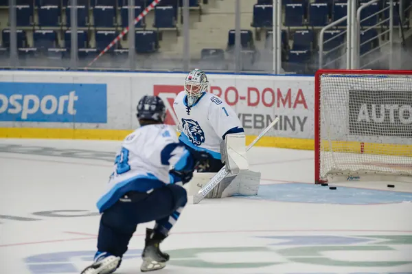 U20: HC Bílí Tygři Liberec – HC Verva Litvínov, 4. 9. 2026