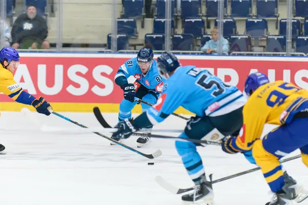 Bílí Tygři Liberec – Herning Blue Fox, 10. 9. 2026