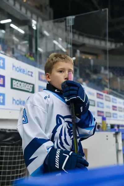 Bílí Tygři Liberec – HC Olomouc, 2. 10. 2026
