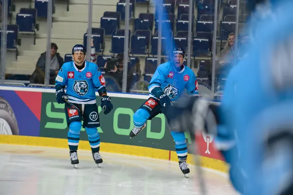 Bílí Tygři Liberec – Herning Blue Fox, 10. 9. 2026
