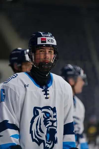 U20: HC Bílí Tygři Liberec – HC Verva Litvínov, 4. 9. 2026