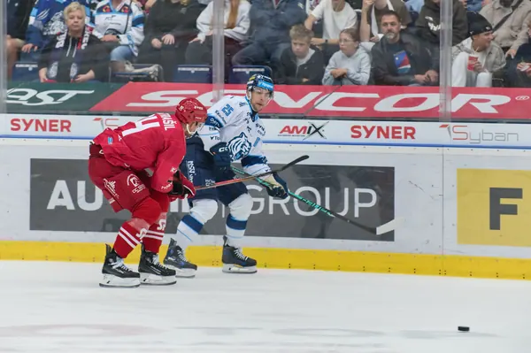 Bílí Tygři Liberec – HC Oceláři Třinec, 27. 9. 2026