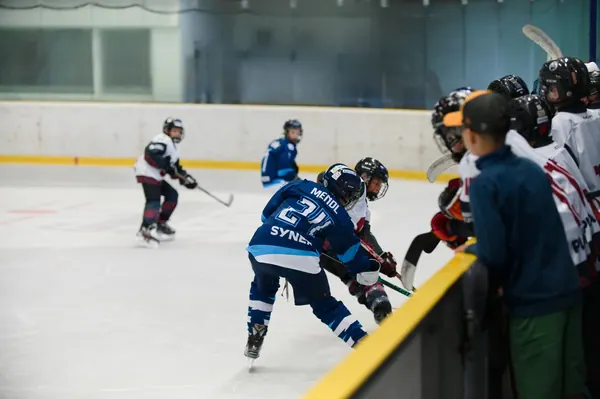 Sparta Praha – BTL, 22. 8. 2026