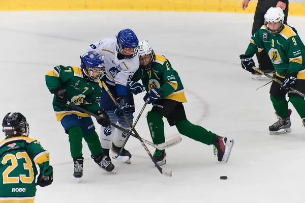 VSE – Kladno O 3. Místo, 23. 8. 2026