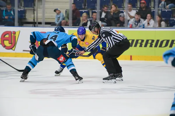 Bílí Tygři Liberec – Herning Blue Fox, 10. 9. 2026