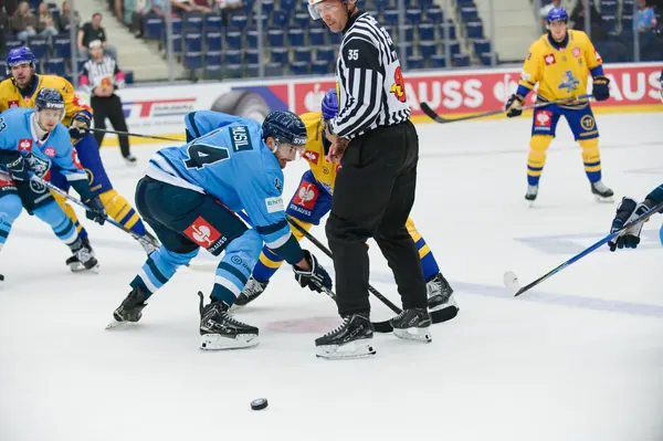 Bílí Tygři Liberec – Herning Blue Fox, 10. 9. 2026