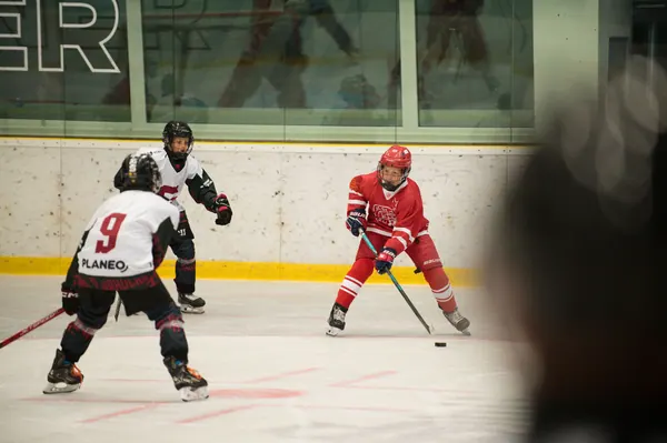 Sparta Praha – SLA, 21. 8. 2026