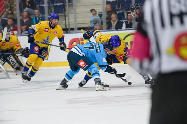Bílí Tygři Liberec – Herning Blue Fox, 10. 9. 2026