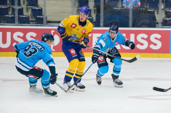 Bílí Tygři Liberec – Herning Blue Fox, 10. 9. 2026