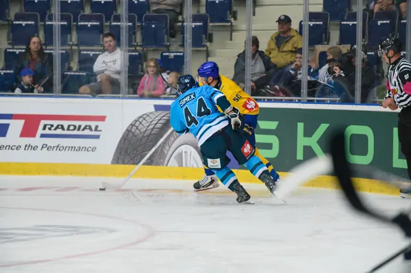 Bílí Tygři Liberec – Herning Blue Fox, 10. 9. 2026