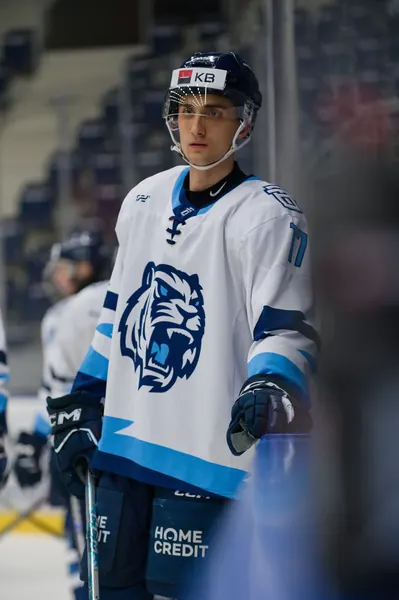 U20: HC Bílí Tygři Liberec – HC Verva Litvínov, 4. 9. 2026