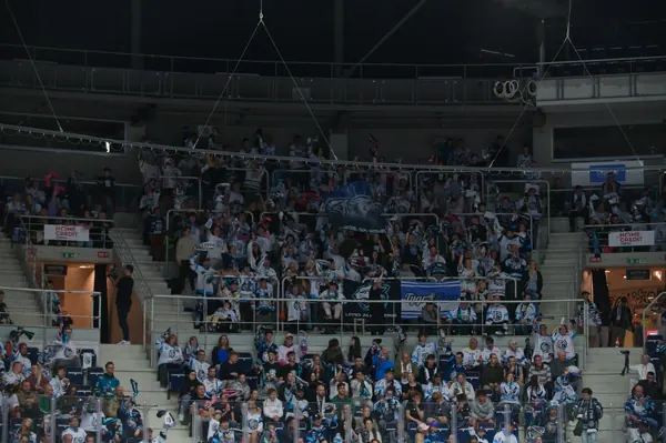 Bílí Tygři Liberec – HC Olomouc, 2. 10. 2026