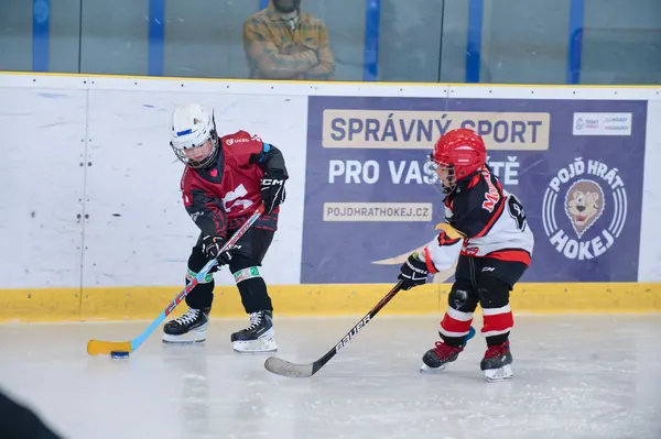 BTL U7 Pohár, 4. 10. 2026