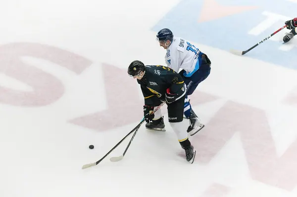 U20: HC Bílí Tygři Liberec – HC Verva Litvínov, 4. 9. 2026