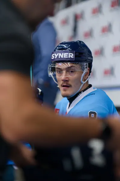 Bílí Tygři Liberec – Herning Blue Fox, 10. 9. 2026