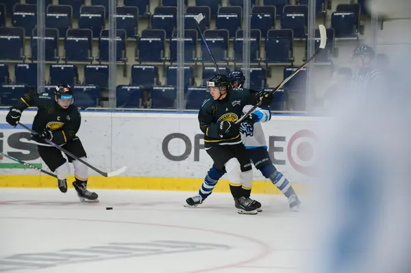 U20: HC Bílí Tygři Liberec – HC Verva Litvínov, 4. 9. 2026
